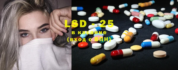стафф Михайловск