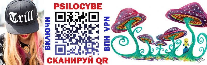 наркошоп  Балабаново  Псилоцибиновые грибы Cubensis 